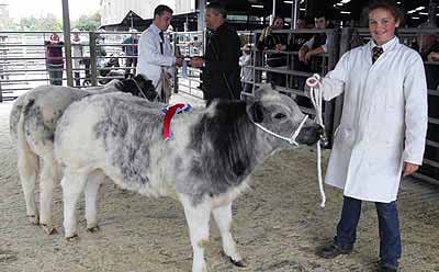 Best Calf Under 6 months Metheringham Edith 3 from G Robinson.JPG